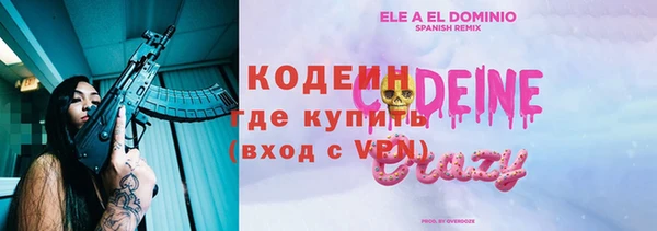 шишки Ачинск