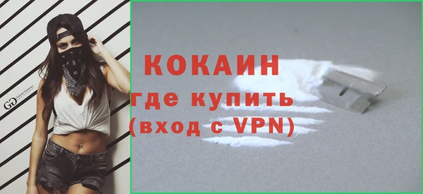 шишки Ачинск