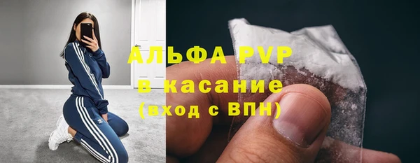 шишки Ачинск