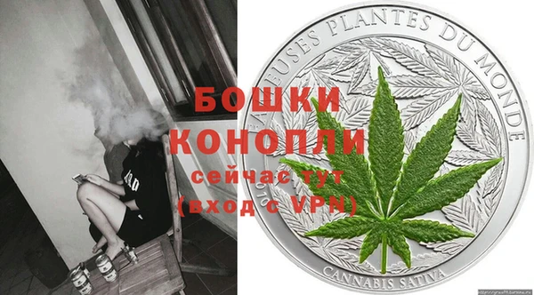 шишки Ачинск