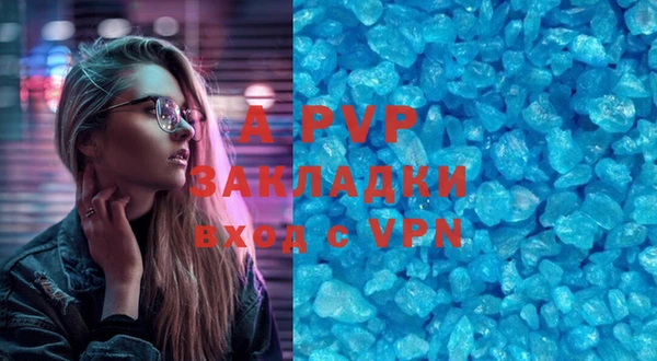 шишки Ачинск