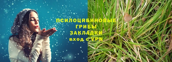 шишки Ачинск