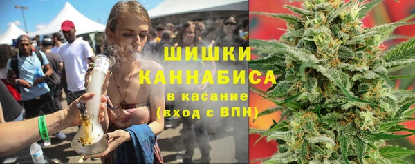 шишки Ачинск