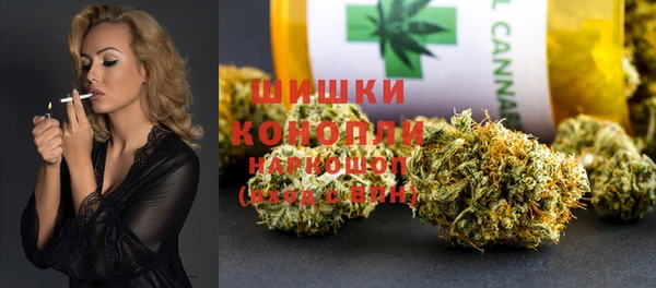 шишки Ачинск