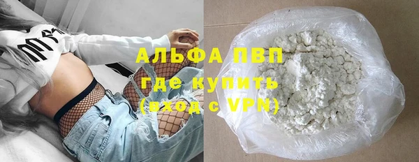 шишки Ачинск