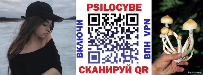 Купить закладки Купино Псилоцибиновые грибы прущие грибы